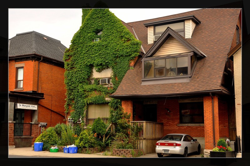 加拿大买房需要花多少钱