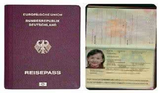 法國護照移民具體流程是怎樣的